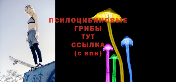 твердый Куйбышев