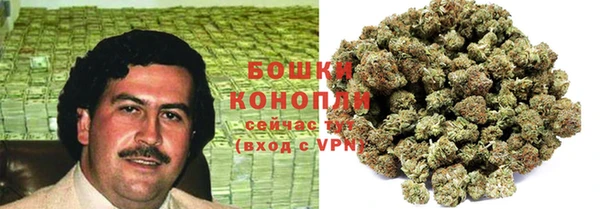 2c-b Краснослободск